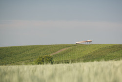 STEZKA NAD VINOHRADY, KEEO4DESIGN. Foto: Jakub Holas