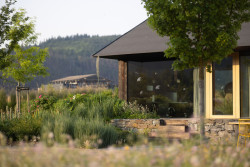 Atelier Flera k němu doplnil  zahradu, jejíž velkou část zabírá louka. (Zahrada rodinného domu u vodní nádrže Kamýk, Atelier Flera)