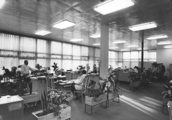 Pragerovy kostky v centru Prahy budou dál chátrat. Odhlasovalo to vedení města. 