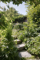 K domu patří vzrostlá (a zarostlá) zahrada. (Dům Na větru, A1 architects)