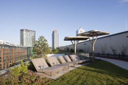 Křesla Rivage značky mmcité a výhledy do okolité zástavby Nových Nív