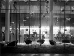 Orchideová zahrada hotelu The SAS Royal Hotel.