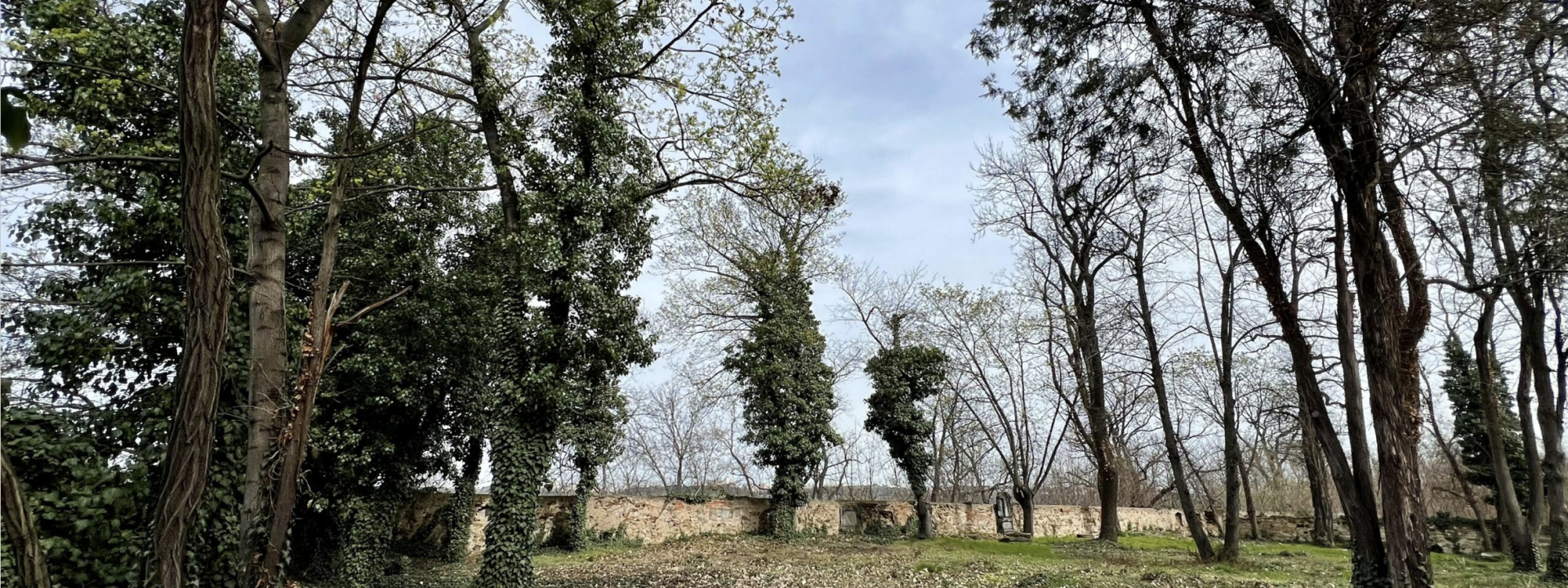 Do 11. června 2024 je možné zasílat návrhy do soutěže na postupnou proměnu bývalého hřbitovy Na Skalce.