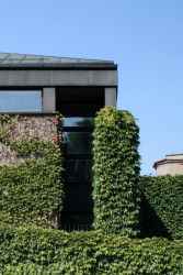 Małgorzata Pizio-Domicz, ArtPunkt / centrum uměleckého vzdělávání - foto