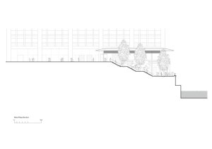 Apple Michigan Avenue , Foster + Partners