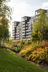Zelený parkový prostor za domem. (Bytový soubor Bohdalecké kvarteto, Podlipný Sladký architekti)