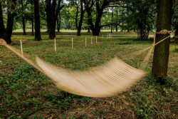 Výstava přibližuje plánovanou proměnu Trojské kotliny a Císařského ostrova