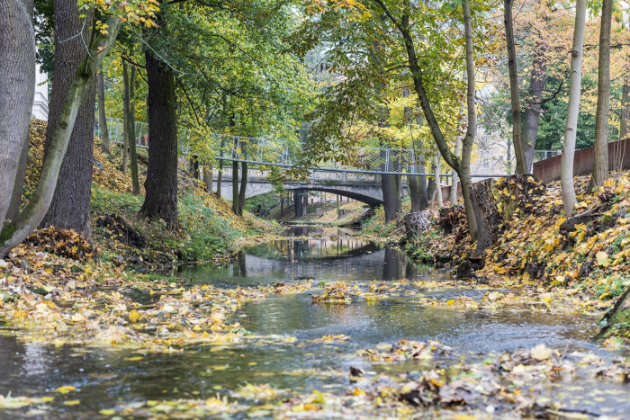 Obnova nábřeží řeky Loučné v Litomyšli, Rusina Frei