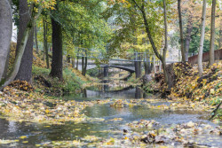 Obnova nábřeží řeky Loučné v Litomyšli, Rusina Frei