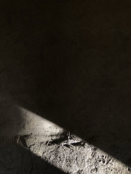 14. září proběhne v Hrubé Vrbce na jihu Moravy festival ‍zaCHRAŇTE stodoly.