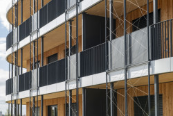 Výhody má dřevo i pro stavaře. Stavba je rychlejší, montáž dřevěné části všech domů se stihla za prázdniny - bez betonových základů.