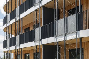 Výhody má dřevo i pro stavaře. Stavba je rychlejší, montáž dřevěné části všech domů se stihla za prázdniny - bez betonových základů.