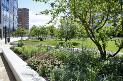 Office park Vlněna, Studio Acht, Lodewijk Baljon, CTP Invest.