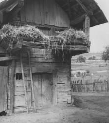 Osada Ploština před vypálením