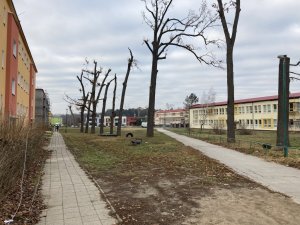 Nadace Proměny Karla Komárka vyhlašuje výzvu k obnově parku před Základní školou U Červených domků v Hodoníně
