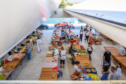 Finalista EU Mies Awards 2026: Gruž Market v Dubrovníku; studio ARP / Peračić-Veljačić