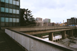 Svá dvě díla pak zvládla zachránit ještě umělkyně Věra Janoušková, která je nechala převézt do svého ateliéru, kde jsou k vidění dodnes. Socha Leknín se původně nacházela v těchto místech, kde bylo umělé jezírko.