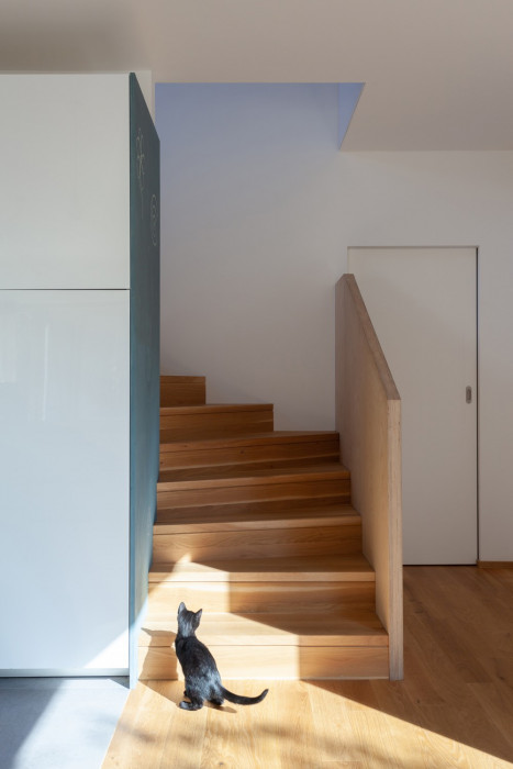 Dům před dvůr, DDAANN