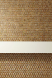 FormaFatal, Byt Korek - foto