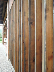 Rodinný dům ze stoletého humna, Eliška Turanská