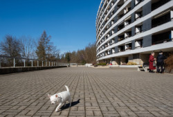 Ojedinělý kvalitní solitér z let 1968 - 1972 je dnes jednou z ikon města a oblíbeným družstevním bydlením.