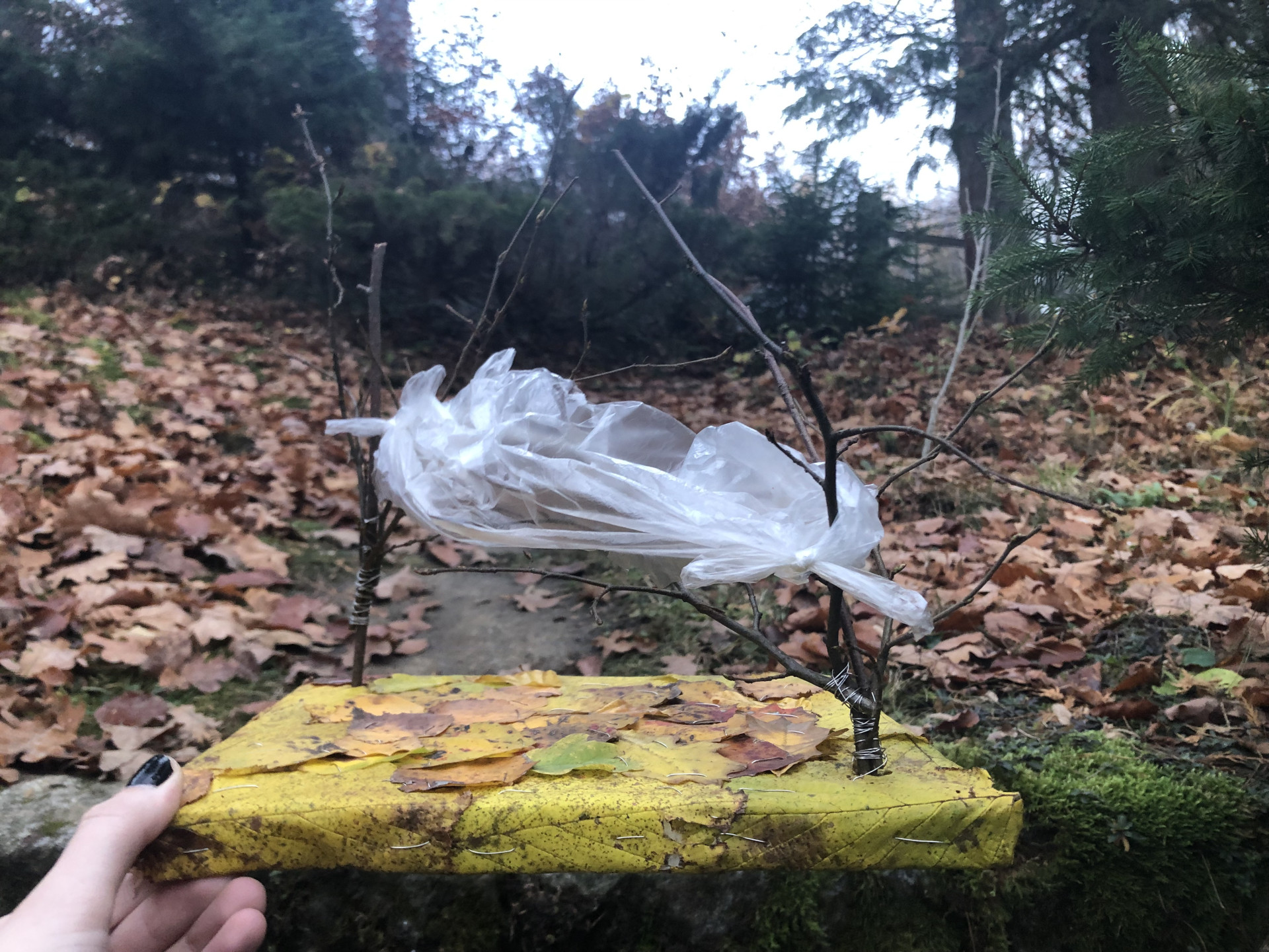 Pedagogové a studenti se budou zabývat cenově dostupným bydlením, komunitním bydlením, strategickým urbanismem, vzděláváním, zkoumáním právního systému nebo analyzováním toho, jak je v naší společnosti chudoba vnímána.