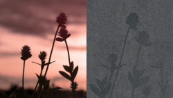 Fasádní obkladové desky Cembrit Patina Signature, ilustrační foto.