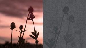 Fasádní obkladové desky Cembrit Patina Signature, ilustrační foto.