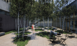 Úpravy veřejného veřejného prostoru areálu Emauzy