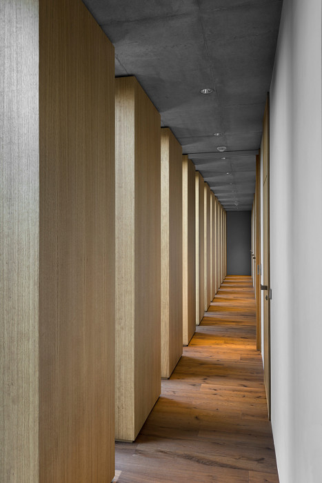 Vila Průhonice, Aulík Fišer architekti