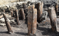 Objev předlokačního osídlení města Třebíče - detail zachovalých dřevěných prvků - Karlovo náměstí v Třebíči