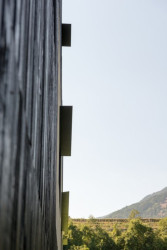 Twin house, bergmeisterwolf architekten,