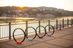 Stojan na kola Gomez má jednoduchý tvar kruhu, pokryt je pryží, takže se kolo nepoškrábe.