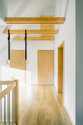 Dřevěný dům, Kateřina Škarková