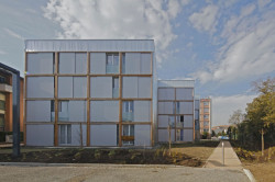 PPA Architectures, 50 Modular Timber Apartments - foto