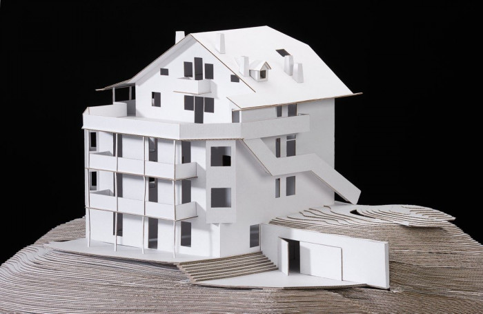 model, music for the forest,