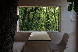 Interiérem větve dubu přímo prorůstají. (Dubodom od Pavola Šišky ve Svätém Juru)