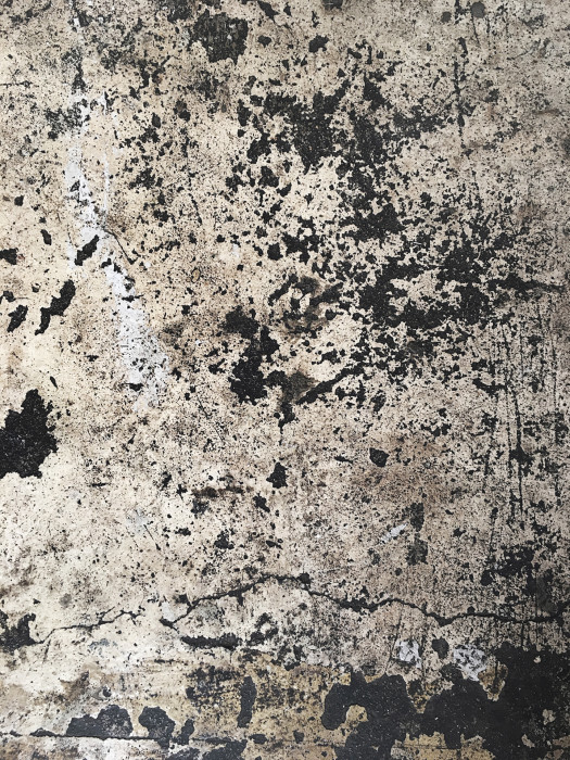 Bar Cobra v Praze od edit! architects