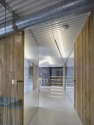 Kancelářské prostory a showroom developerské společnosti Satpo, Daniela Polubědovová