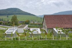 Taneční sál pod vinohradem, SPPA Architekten