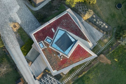 Villa Sophia, COLL COLL