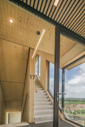 Dřevo, beton, sklo, tři hlavní elementy budovy Haut.  (V Team, dům Haut)