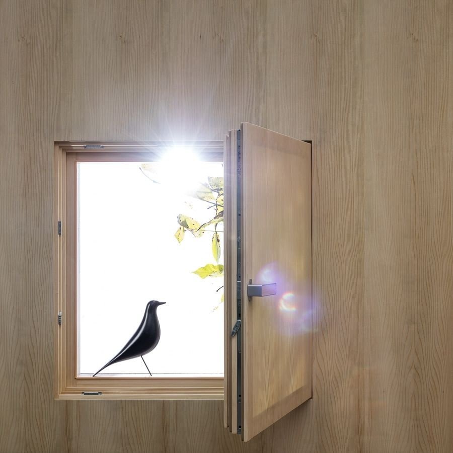 Maxim Velčovský, TRANSPARENT – foto