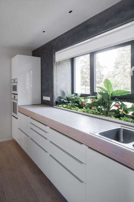 RD Bohnice, Archport