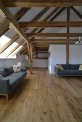 Rekonstrukce půdy, 3+1 architekti