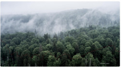 Jan Kurz, Novohradská poutní krajina – foto
