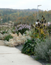 Rodinný dům ve Vraném nad Vltavou, zahrada, Kontinual,