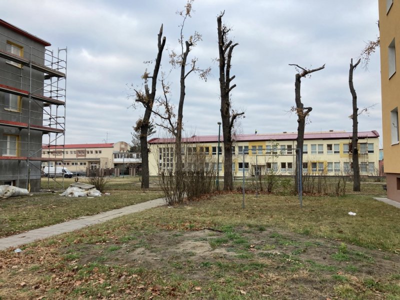 Nadace Proměny Karla Komárka vyhlašuje výzvu k obnově parku před Základní školou U Červených domků v Hodoníně
