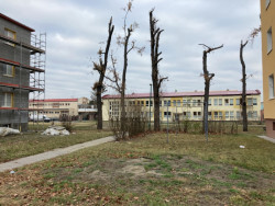 Nadace Proměny Karla Komárka vyhlašuje výzvu k obnově parku před Základní školou U Červených domků v Hodoníně