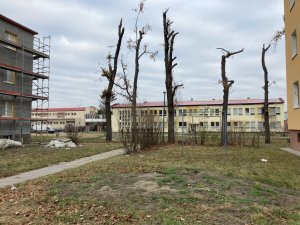Nadace Proměny Karla Komárka vyhlašuje výzvu k obnově parku před Základní školou U Červených domků v Hodoníně